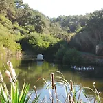 Quinta Da Falca *